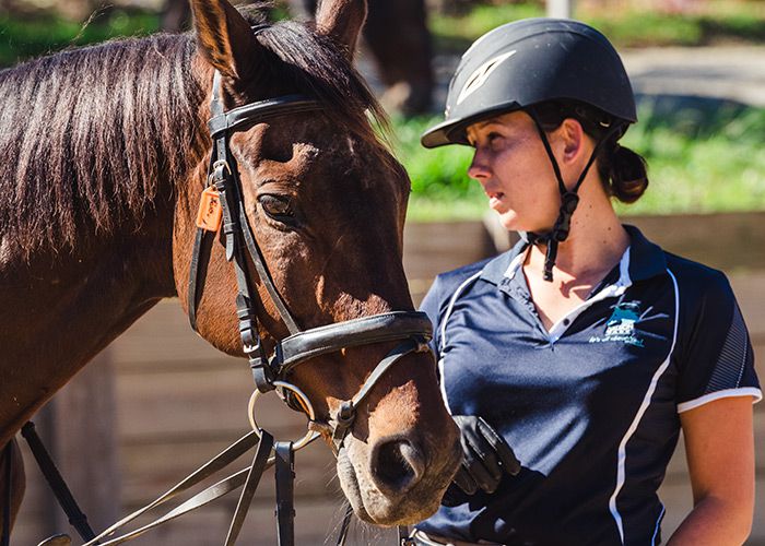 adult horse riding lessons