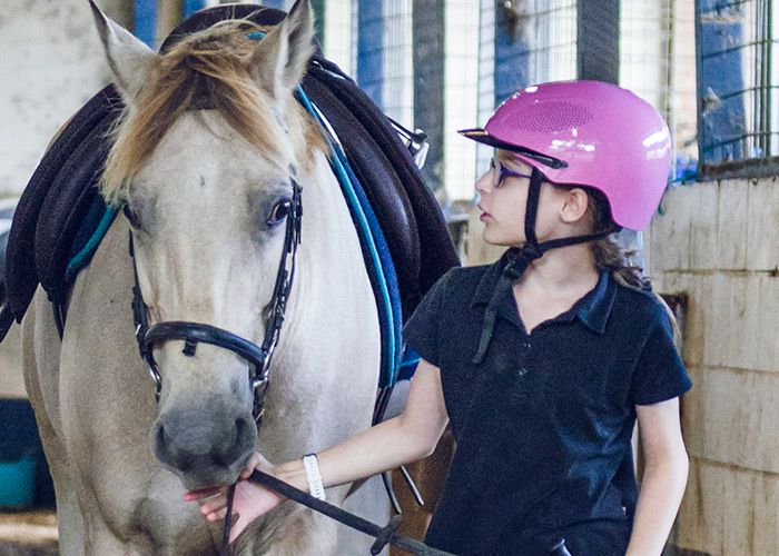 childrens horse riding lessons