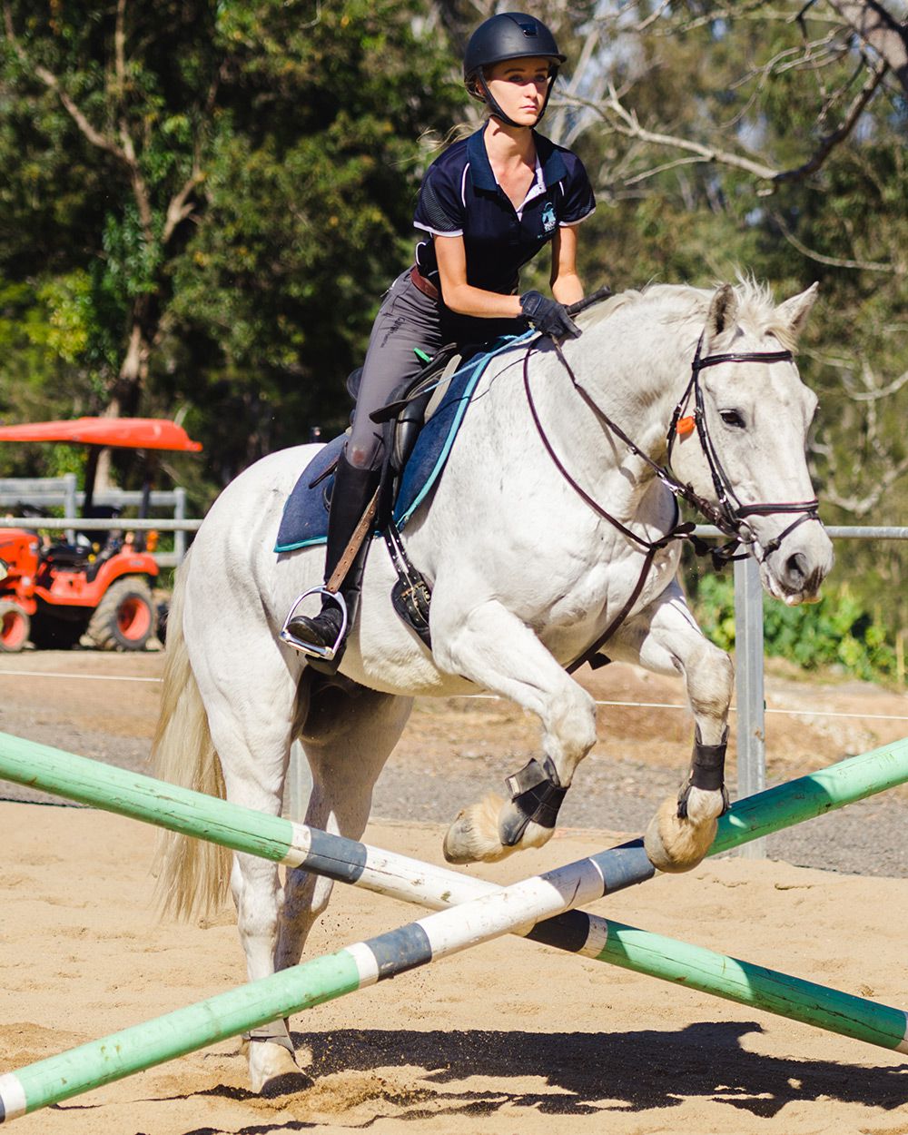 private horse riding lessons
