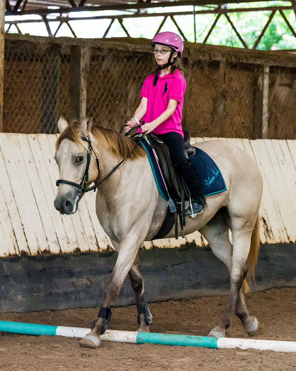 Semi-Private Horse Riding Lessons